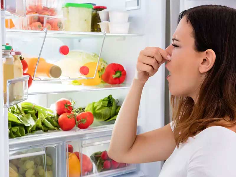 چگونه بوی بد یخچال فریزر را ازبین ببریم؟